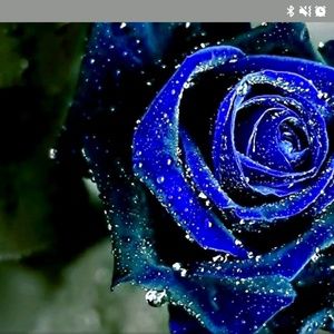 Meet your Posher, Aurelio